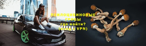 ешки Осташков