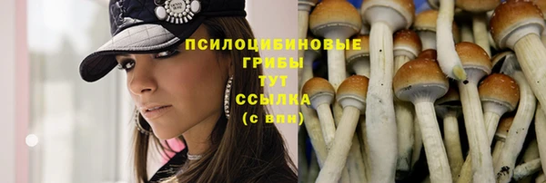 твердый Осинники