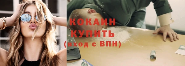 твердый Осинники
