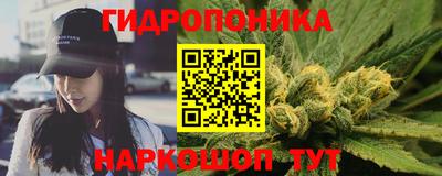 шишки Азнакаево