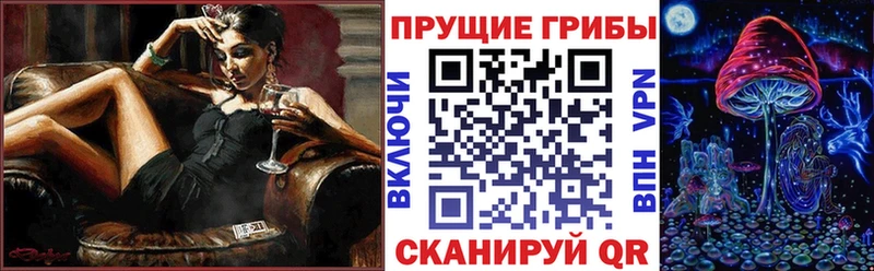 Псилоцибиновые грибы Psilocybine cubensis  Абинск 