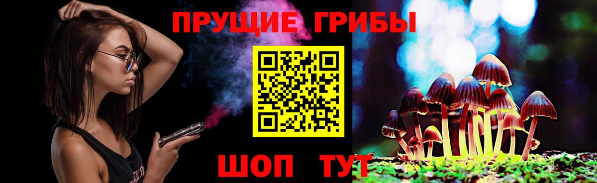 Псилоцибиновые грибы мицелий Абинск